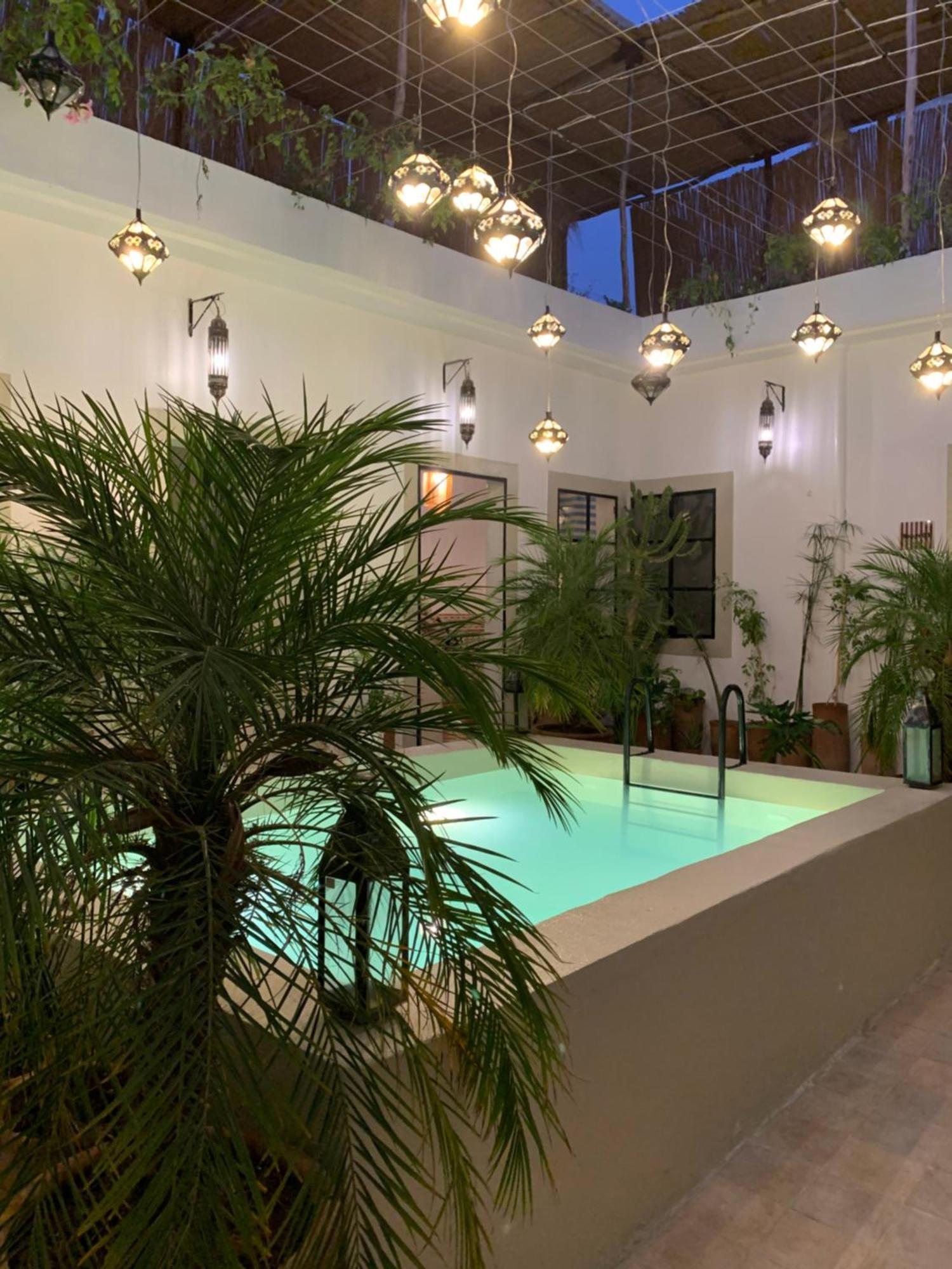 Riad Ait El Mouden Tamraght Ngoại thất bức ảnh